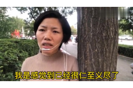 万宁融资清欠服务